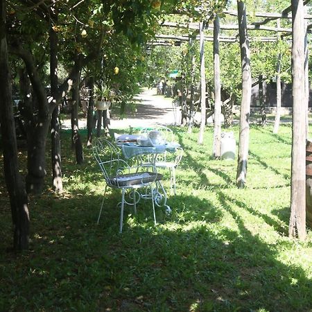 Apartament Emy'S Country House Castellammare di Stabia Zewnętrze zdjęcie