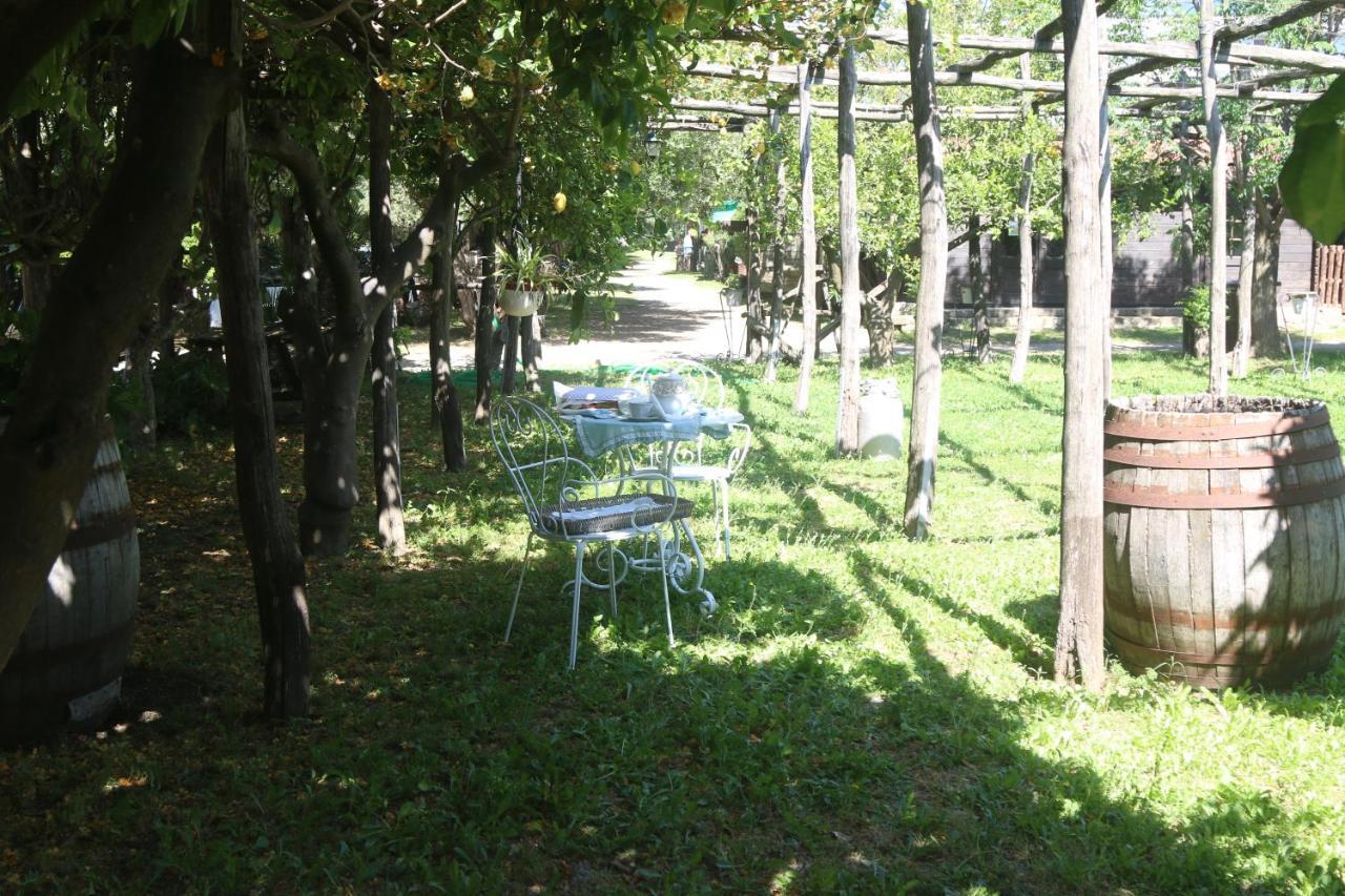 Apartament Emy'S Country House Castellammare di Stabia Zewnętrze zdjęcie