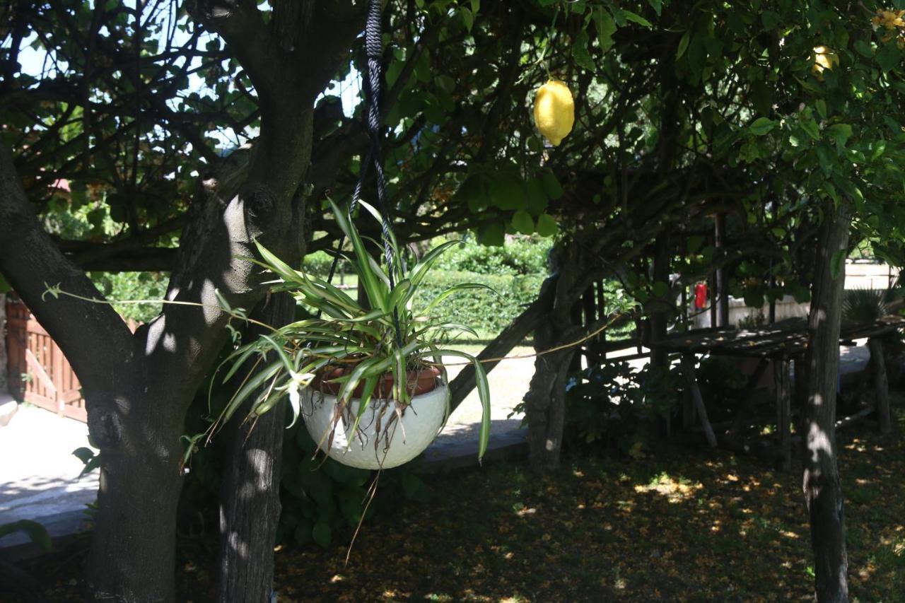Apartament Emy'S Country House Castellammare di Stabia Zewnętrze zdjęcie