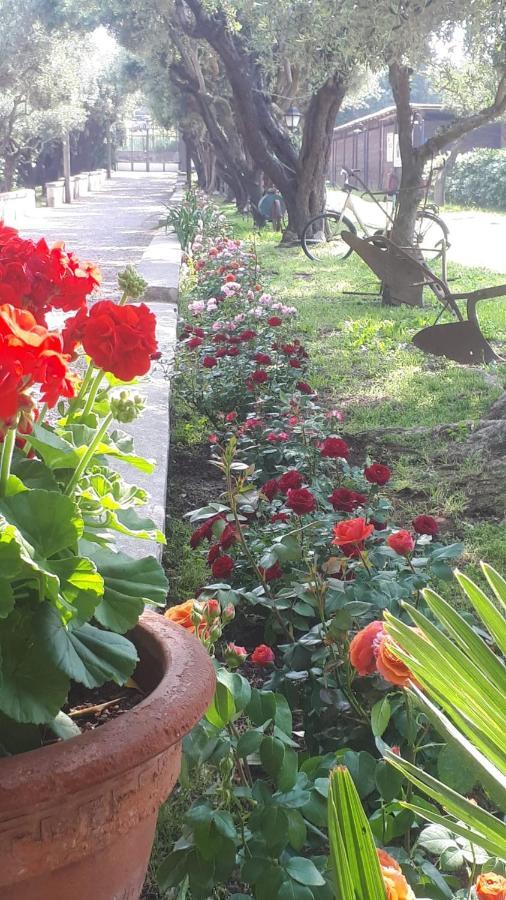 Apartament Emy'S Country House Castellammare di Stabia Zewnętrze zdjęcie